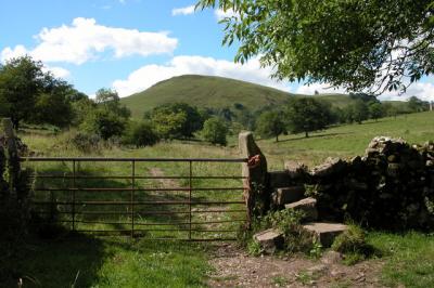 Narrowdale Hill