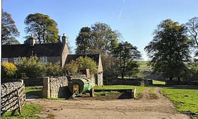 Ilam Tops Farm