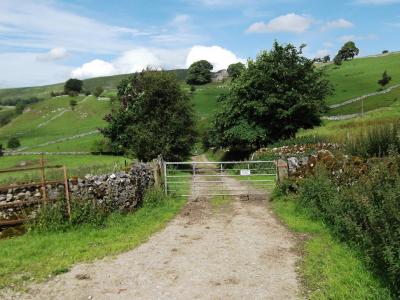 Narrowdale 3