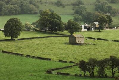 Stiff Close in the Dove Valley near Longnor