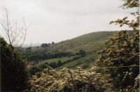 View from Herbage Farm